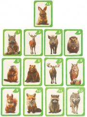 Игра карточная - мемо «Лесные животные. Домашние животные» - Фото 4