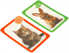 Игра карточная - мемо «Лесные животные. Домашние животные» - Фото 5