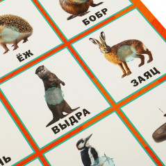 Развивающие липучки-лото «Лесные животные» - Фото 3