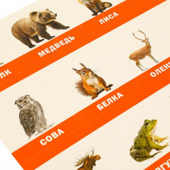 Развивающие липучки-лото «Лесные животные» - Фото 5