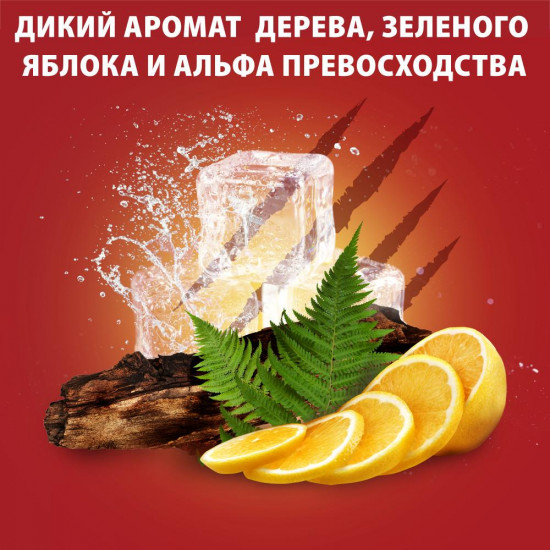 Дезодорант «Bearglove»