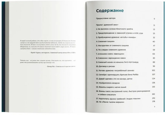 Драконы в снегу