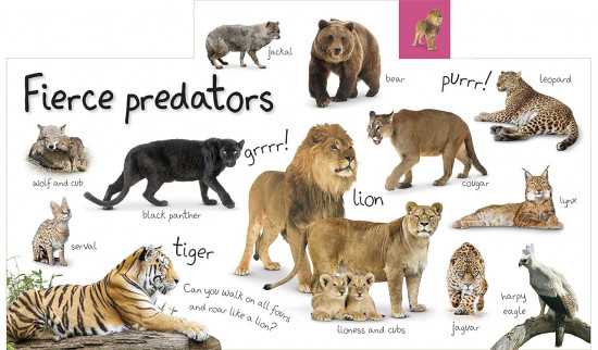 My First Zoo