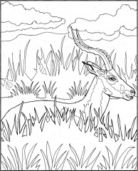 Nature Colour By Number Book - Фото 1