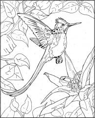 Nature Colour By Number Book - Фото 2