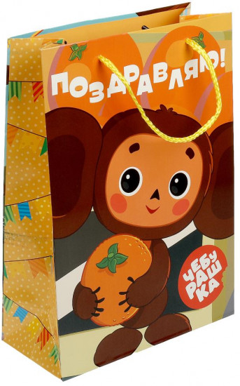 Пакет подарочный