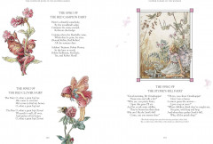 The Complete Book of the Flower Fairies - Фото 2