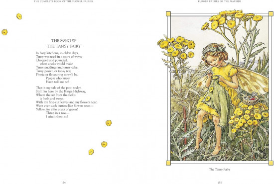 The Complete Book of the Flower Fairies