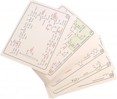 Биохимия. Основные метаболические пути организма человека - Фото 1