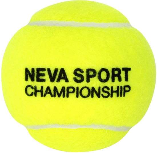 Набор мячей теннисных «NS Championship»