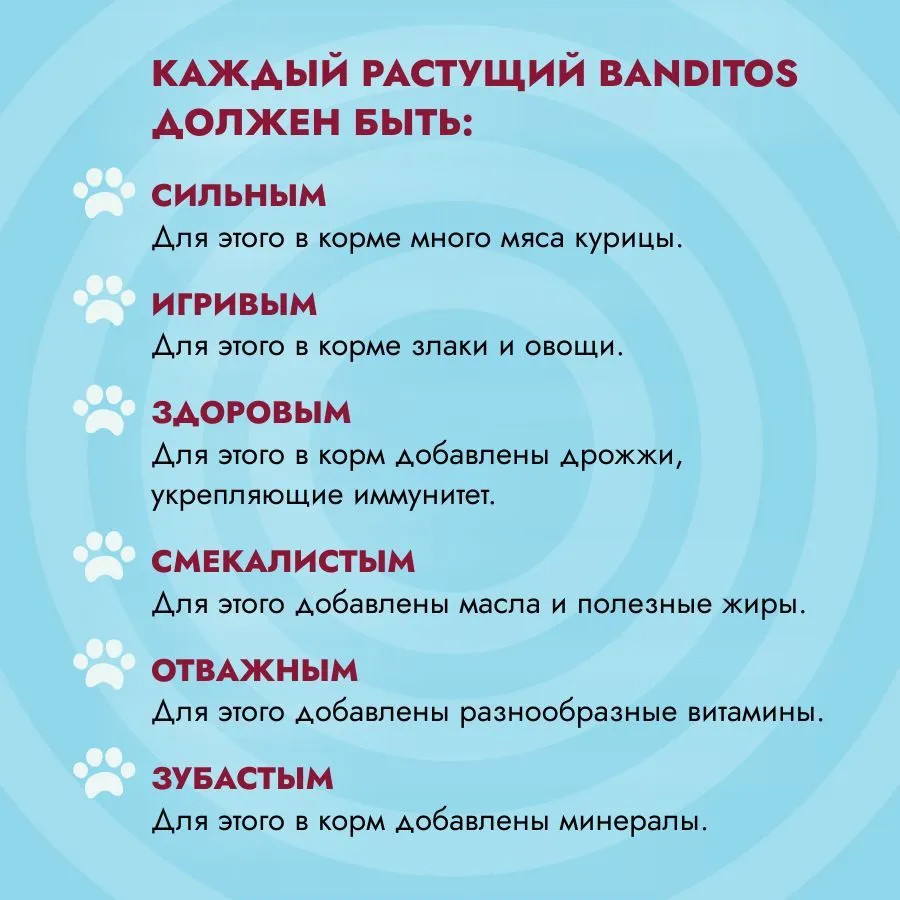 Корм для котят с курицей | Banditos | Фото 1