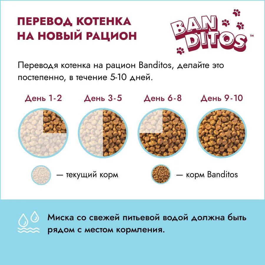 Корм для котят с курицей | Banditos | Фото 5