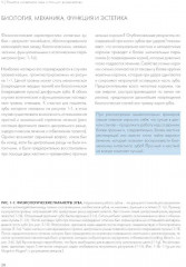 Адгезивные керамические реставрации передних зубов - Фото 3