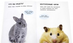 Банда пушистых модников. Вечеринка - Фото 3