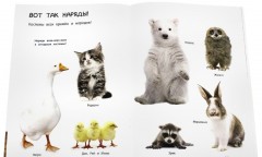 Банда пушистых модников. Вечеринка - Фото 7