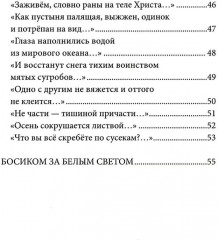 Небесный почтальон - Фото 3