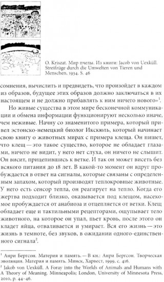 Изображение. Курс лекций