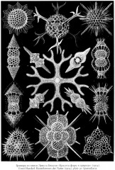 Изображение. Курс лекций - Фото 2