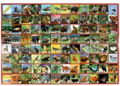 Игра настольная «Животные планеты Земля» - Фото 2