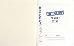 Тетрадь предметная «Для сочинений» - Фото 4
