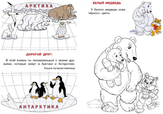 Арктика и Антарктика. Кошкин атлас