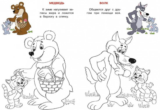 Россия. Кошкин атлас