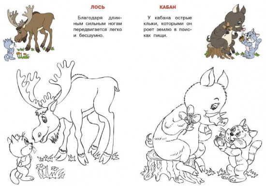 Россия. Кошкин атлас