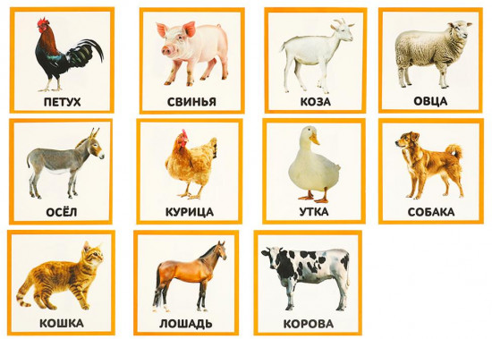 Развивающие карточки «Животные»