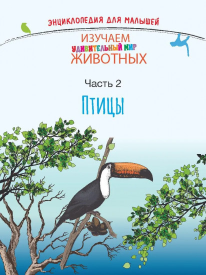 Изучаем удивительный мир животных