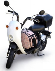 Переноска для транспортировки животных - Фото 1