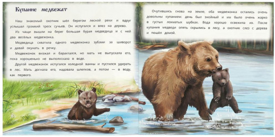 Книга «Хитрый Лис и Умная Уточка»
