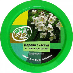 Набор для выращивания «Катальпа прекрасная» - Фото 1