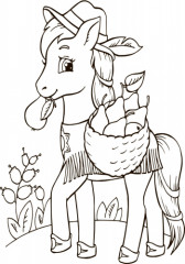 Пони - Фото 2