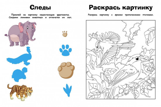 Джунгли