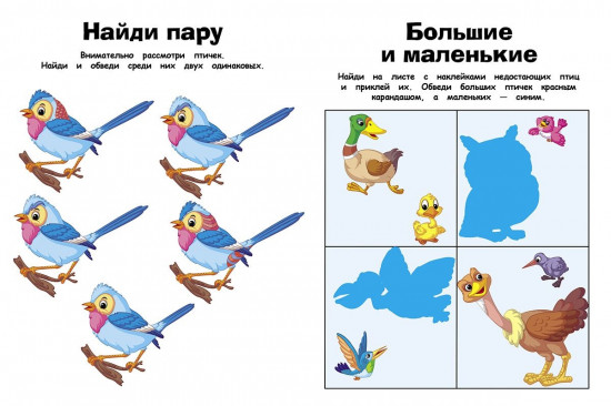 Птицы