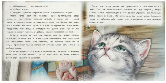 Книга «Кот»