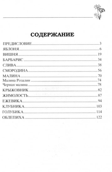 Плодовый сад. Минимум знаний для максимального урожая