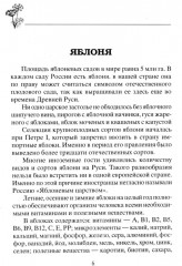Плодовый сад. Минимум знаний для максимального урожая - Фото 2
