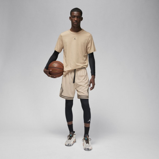 Футболка мужская Jordan Dri-FIT Short-Sl
