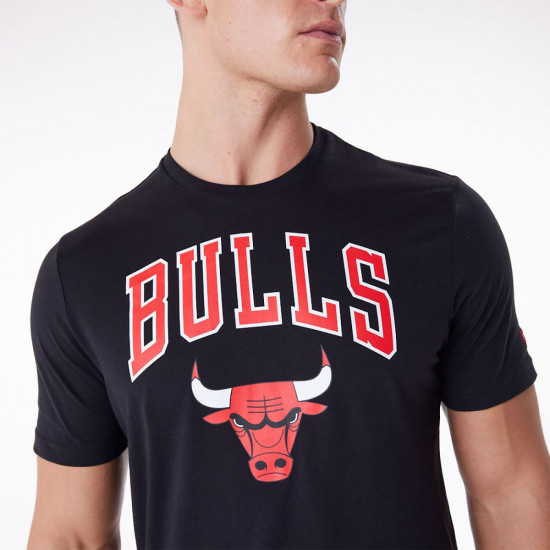 Футболка мужская Regular Tee Chicago Bul
