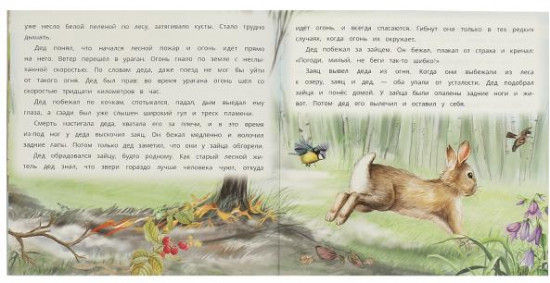 Книга «Заячьи лапы»