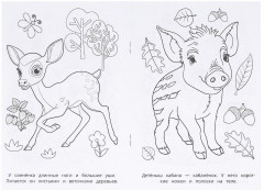 Раскраска «Лесные животные» - Фото 1