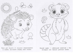 Раскраска «Лесные животные» - Фото 2