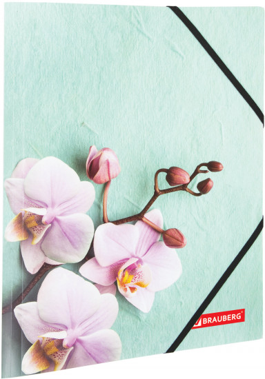 Папка на резинках «Flower»