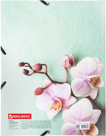 Папка на резинках «Flower»