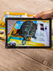 Животные. Птицы. Насекомые и паукообразные. 250 невероятных фактов. Комплект из 3 книг - Фото 4