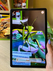 Животные. Птицы. Насекомые и паукообразные. 250 невероятных фактов. Комплект из 3 книг - Фото 6