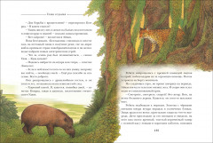 Летающий дом - Фото 2