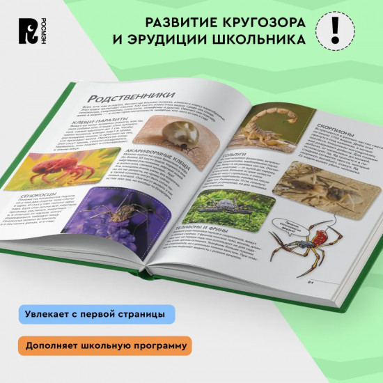 Невероятные насекомые