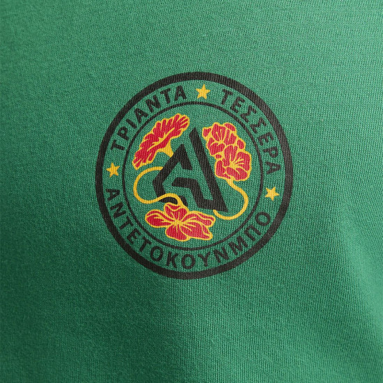 Футболка мужская Giannis Dri-FIT Tee 